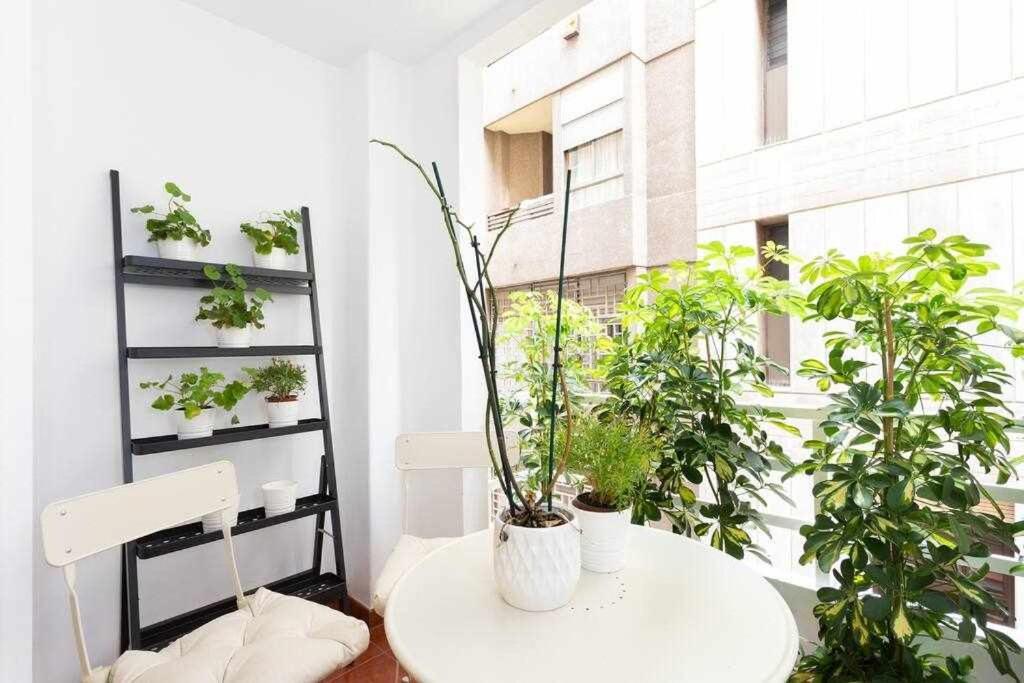 Sabino Dreams Santa Cruz Apartment ภายนอก รูปภาพ