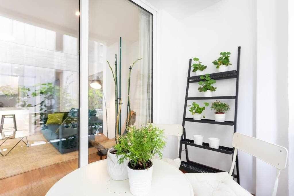 Sabino Dreams Santa Cruz Apartment ภายนอก รูปภาพ